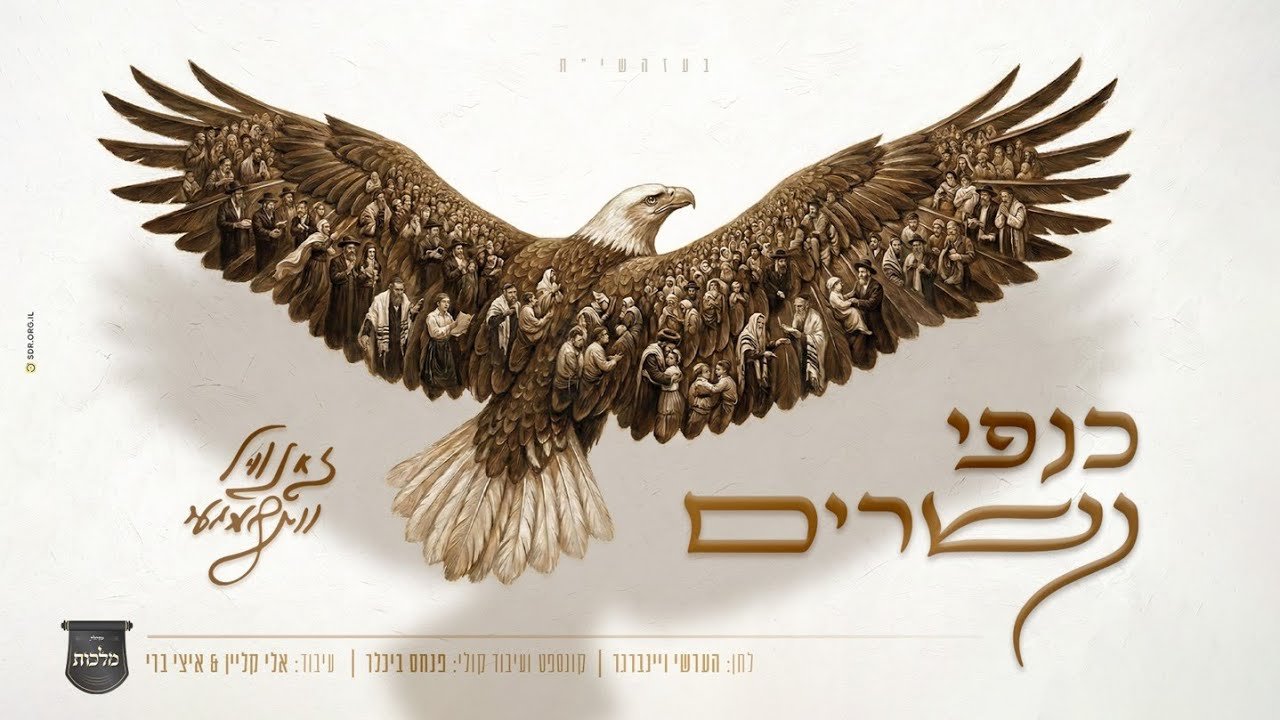 פלייבק זאנוויל ויינברגר - כנפי