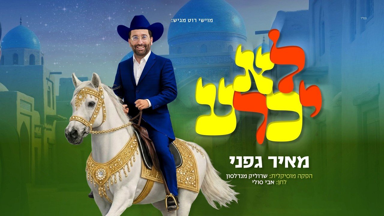 פלייבק מאיר גפני - לא