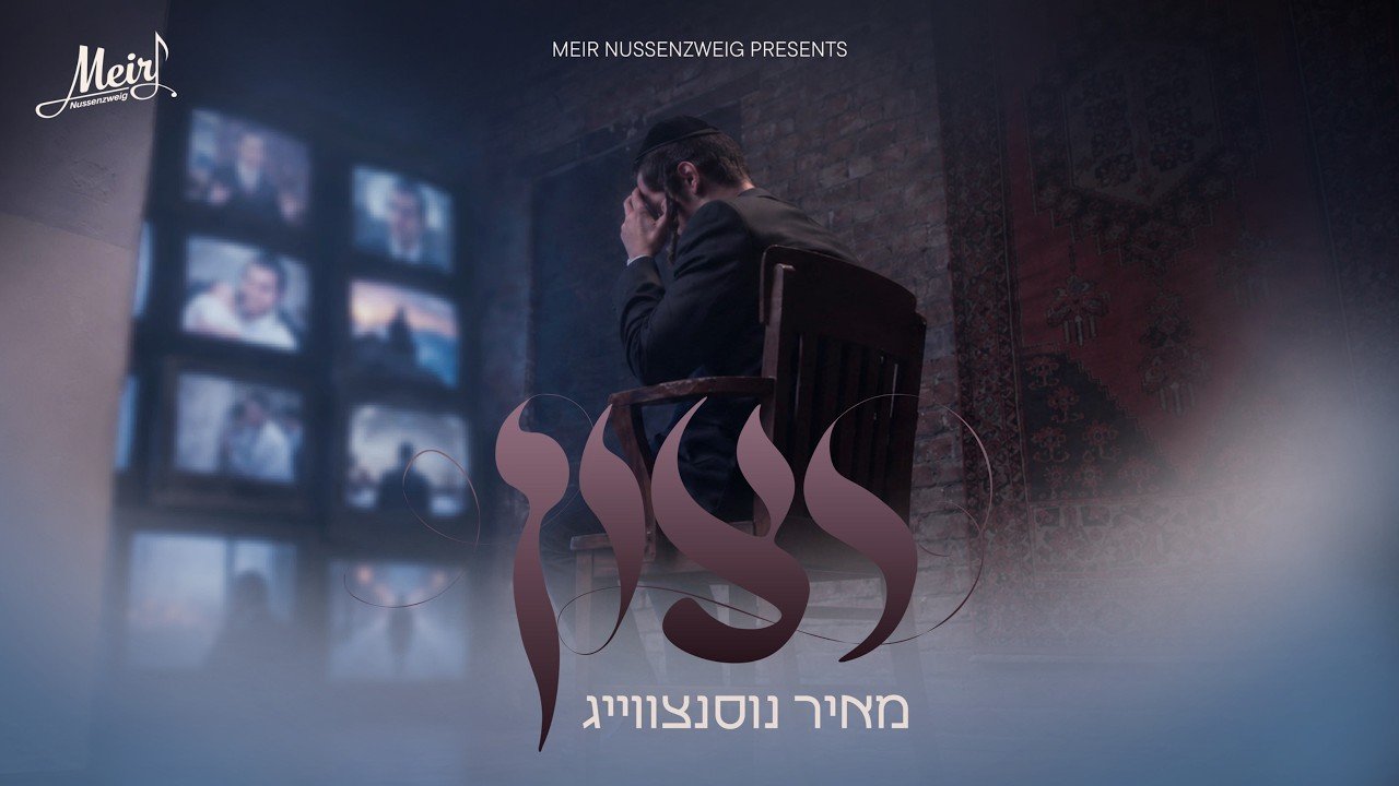 פלייבק – מאיר נוסנצווייג – רצון